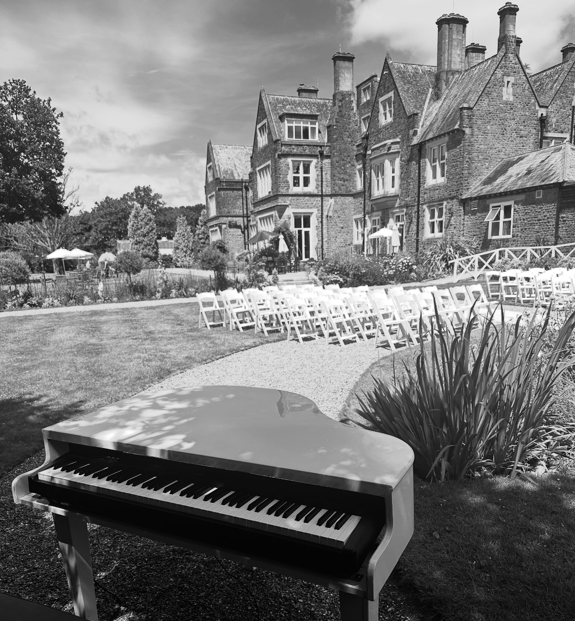 Wedding Venue
